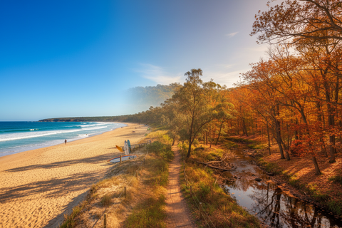 Outgoing Summer Meals